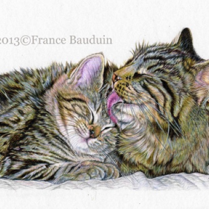 Griffin & Cleo
White Cartridge Paper
6" x 9"
From Laila's 2nd and 3rd litter
